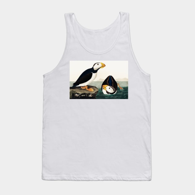 Bird of America  Bird, bird lover, america, beautiful  Public domain painting by John James Audubon Tank Top by RosMir